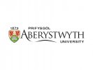 Head – Aberystwyth Business School image