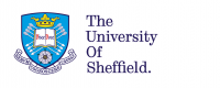 Dean of Sheffield University Management School image