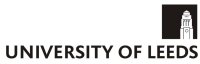Director of Professional and Organisational Development image